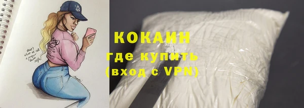 мяу мяу мука Медвежьегорск
