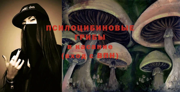 МДПВ Мегион