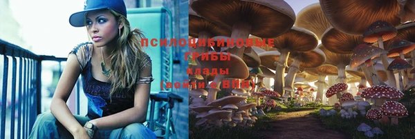 мяу мяу мука Медвежьегорск