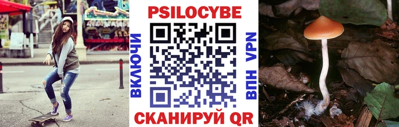 Купить закладки  Руза  Галлюциногенные грибы GOLDEN TEACHER 