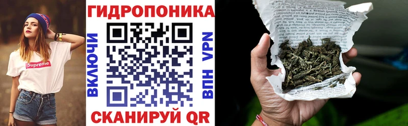 Канабис сатива  Купить закладки  Руза 